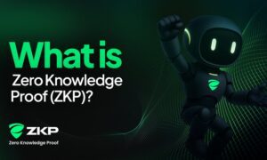 What Is Zero Knowledge Proof? A New Approach to Private and Verifiable Blockchain Systems