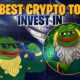 pepeto best crypto presale to invest in