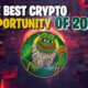 best crypto opportunity: pepeto presale