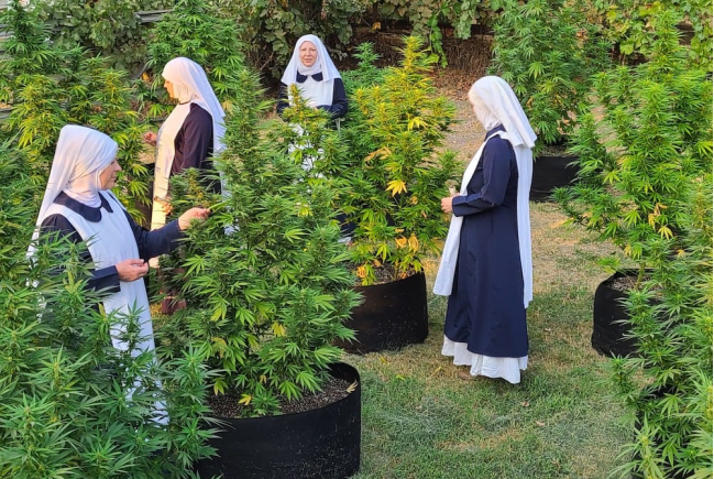 Sisters of the Valley CBD for Women: How Faith-Driven CBD Products Are Supporting Women’s Wellness Naturally