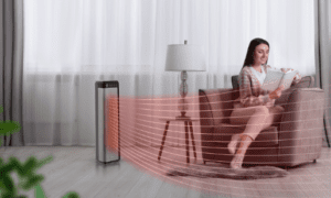 Set Focused On Daily Use