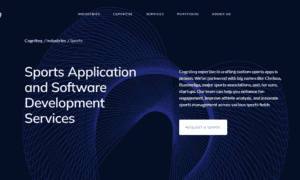 custom sports software development services for mobile & web
