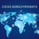 Enterprise Cross-Border Payments