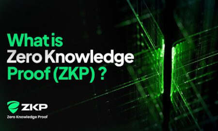 Zero Knowledge Proof