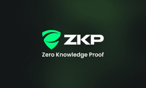 Zero Knowledge Proof Draws Investors' Attention With Its Live Infrastructure and 300x Potential! Cardano & Bitcoin Cash Lose Steam