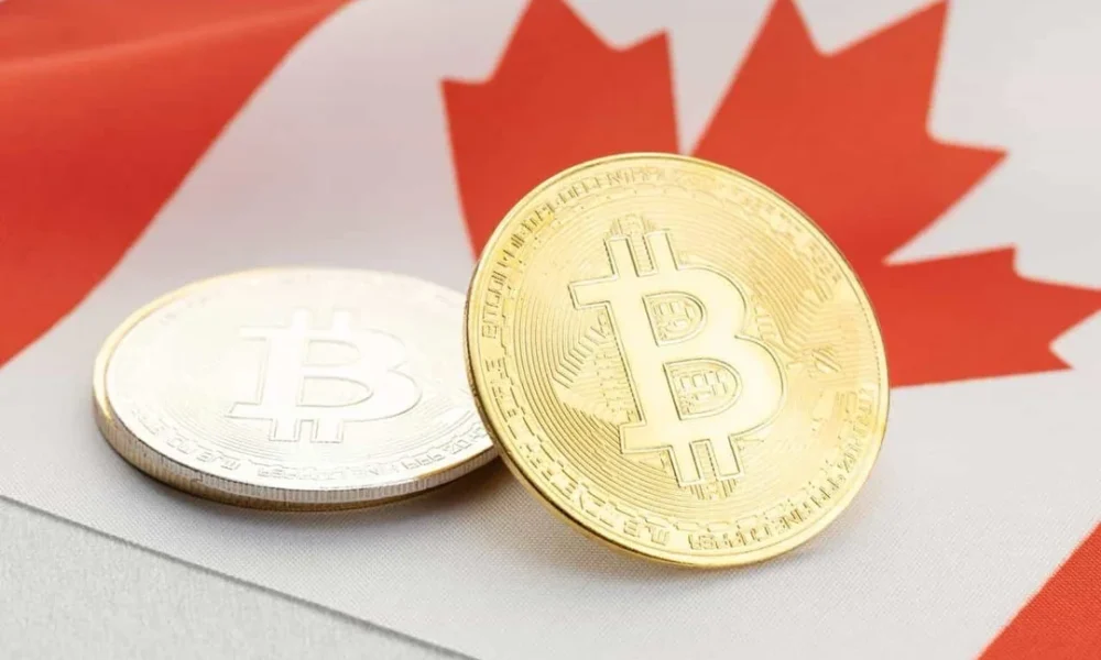 What Canadian Reddit Users Say About Crypto