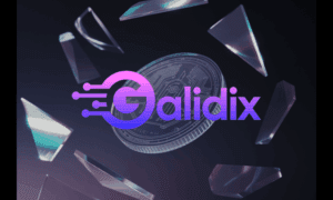 How Galidix analytics helps clients make successful trades