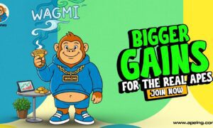 best meme coin whitelist