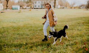 Dog Sitter