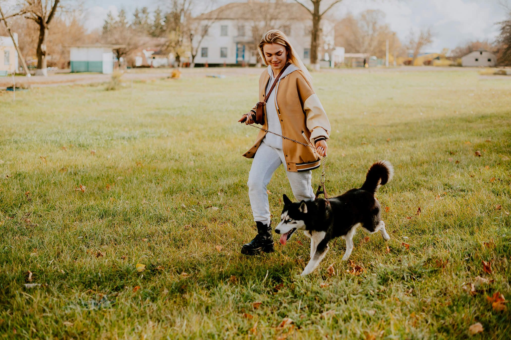 Surprise Business Trip? Choosing a Dog Sitter in Chicago on Short Notice