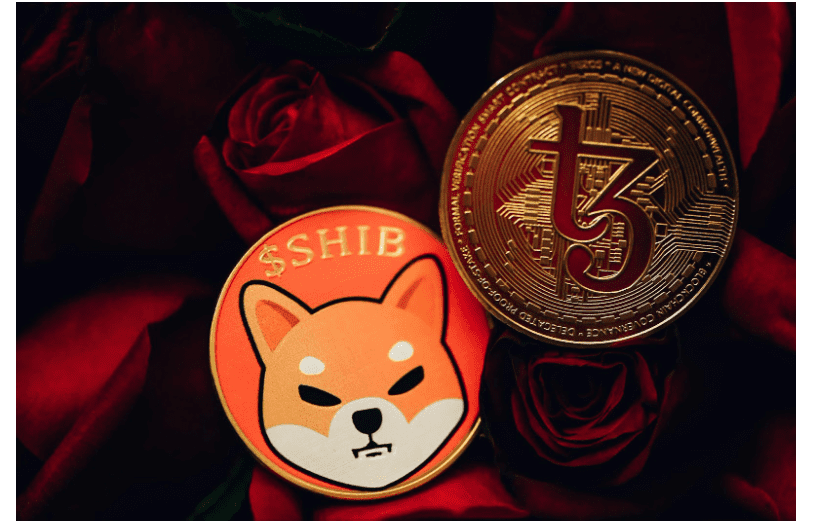 Beginner Crypto Guide: How Digital Money Fits Into Personal Finance Basics