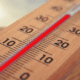 Precision Temperature Tracking: Why Platinum Resistance Elements Are the Industry Standard