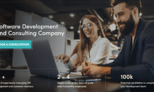 JD Edwards Upgrade Services Companies