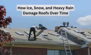 Roof Repair service