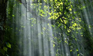 Sense of the Psychometric