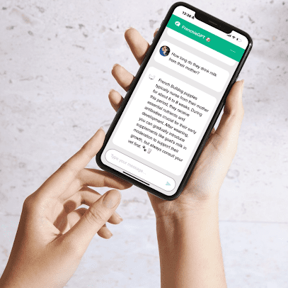 Proprietary Data Secures $5 Million to $12 Million Pre-Revenue Valuation for AI Startup FrenchieGPT