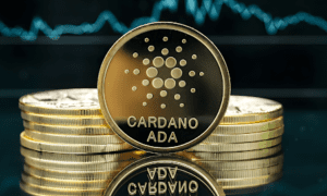 Lace Wallet Empowers Crypto Ownership