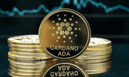 Lace Wallet Empowers Crypto Ownership