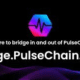 PulseChain