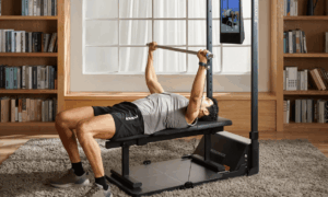 Celebrity Home Workout Routines