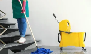 Cleaning services in Concord, MA