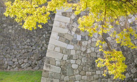 10 Essential Tips for Building Durable Retaining Walls That Last