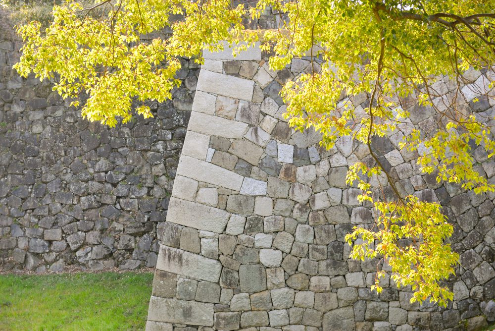 10 Essential Tips for Building Durable Retaining Walls That Last