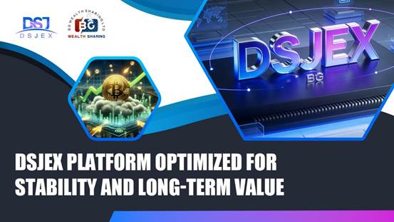 DSJEX Platform Optimized for Stability and Long-Term Value