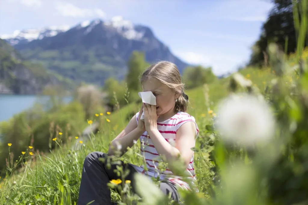 Pollen Allergy in the Netherlands