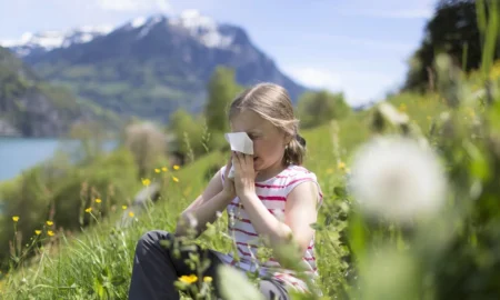 Pollen Allergy in the Netherlands