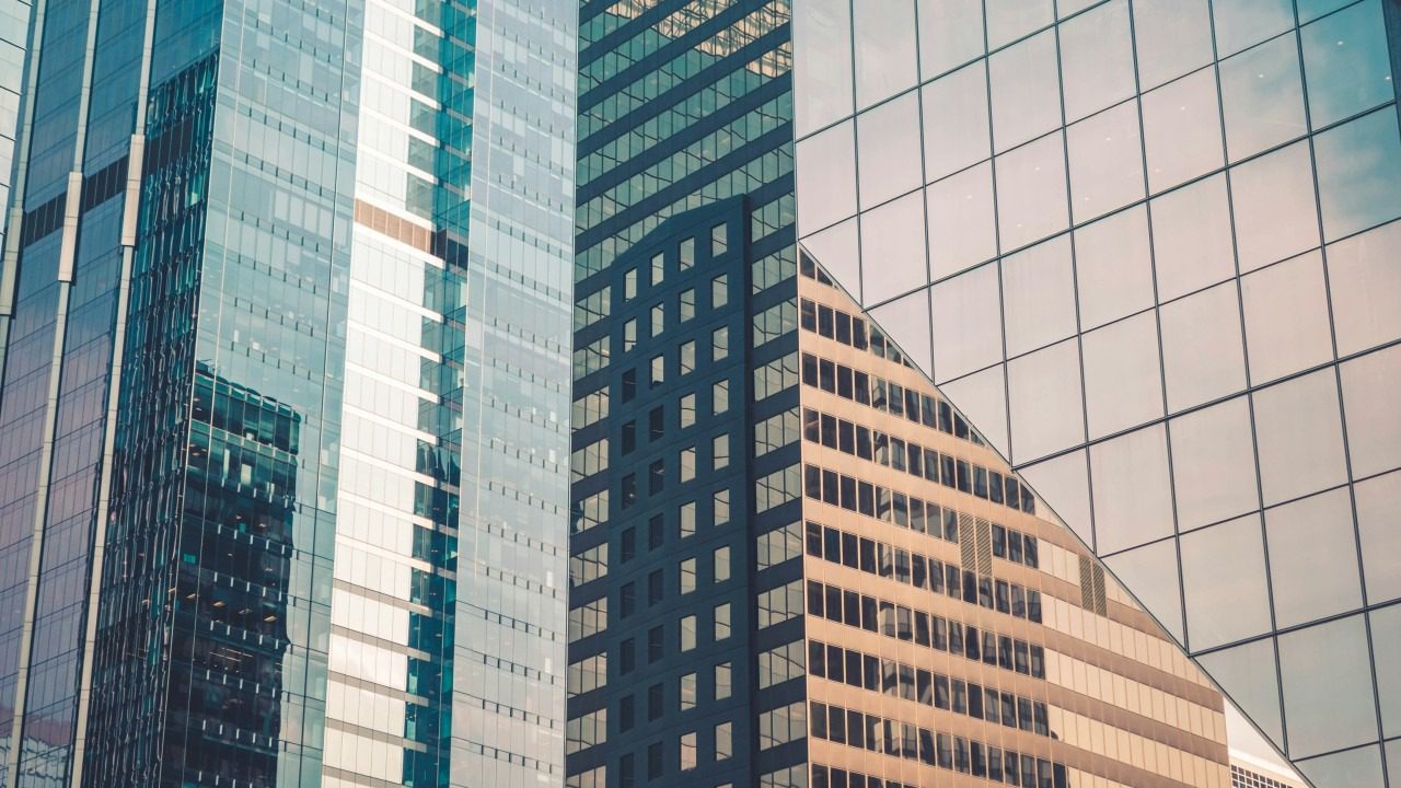 The Synthesis Organization: Leadership and Governance in a Multi-Agent World