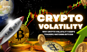 Elvitix Market Review