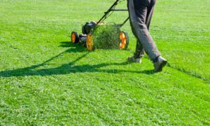 The Complete Guide to Professional Lawn Care for a Healthier, Greener, and More Resilient Yard