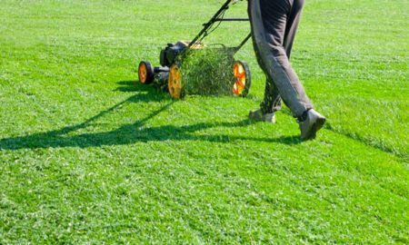 The Complete Guide to Professional Lawn Care for a Healthier, Greener, and More Resilient Yard