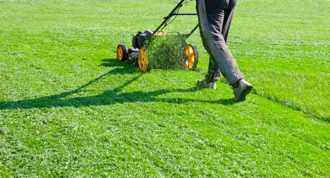 The Complete Guide to Professional Lawn Care for a Healthier, Greener, and More Resilient Yard