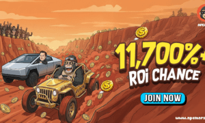 top crypto to buy now