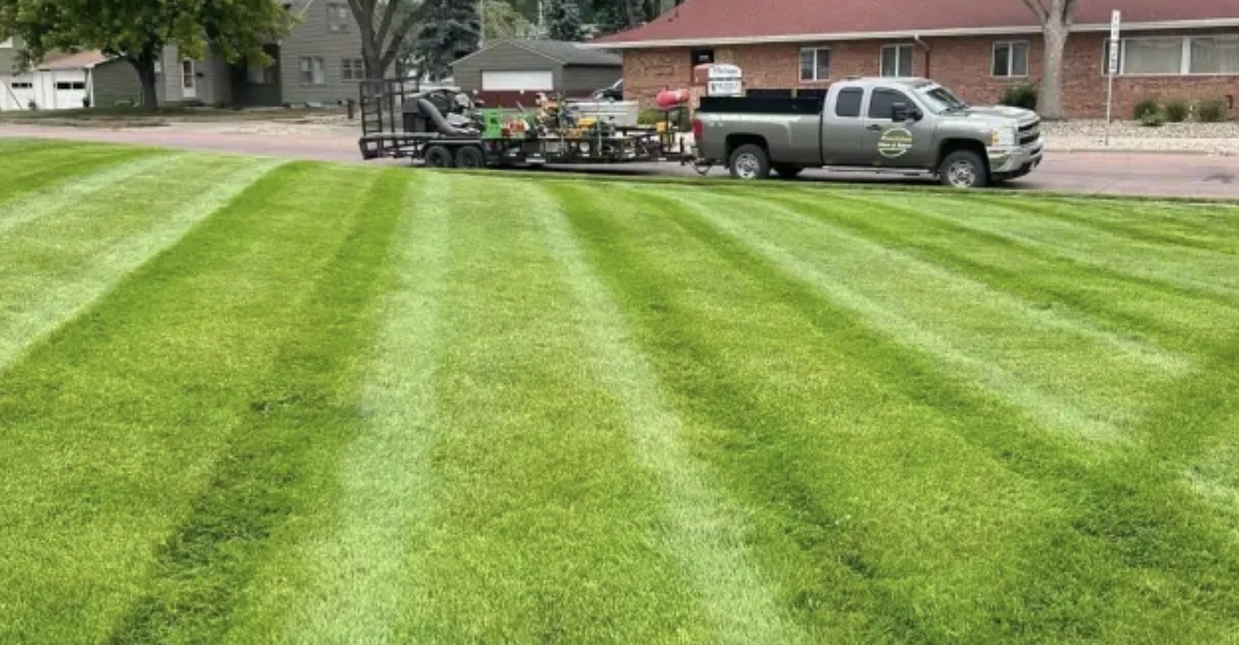 When Is It Time for Tree Removal? A Homeowner’s Complete Guide to Safe and Strategic Decisions