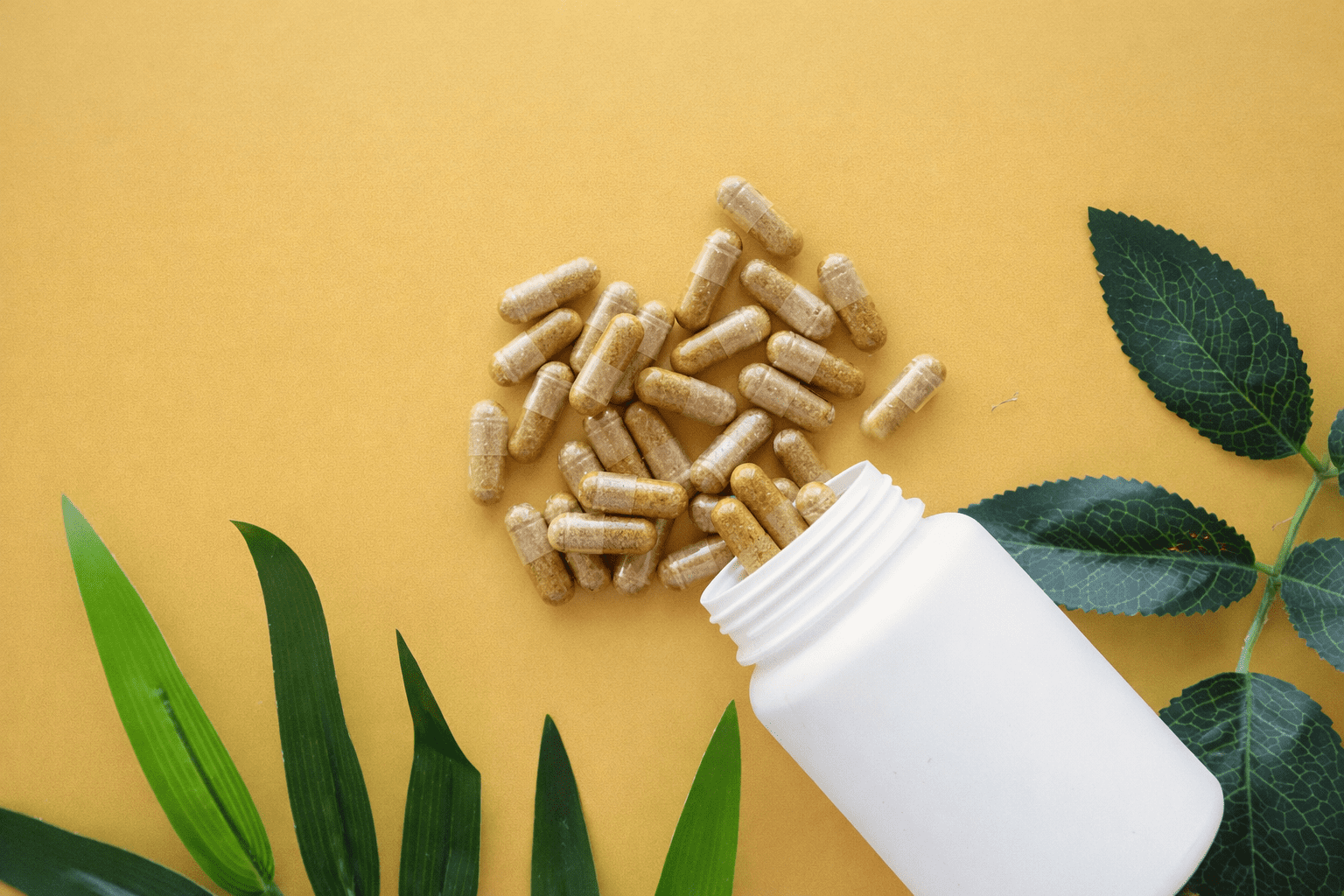 Marco Pharma International’s Warning: What to Watch For in the $50 Billion Natural Health Industry