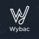 Wybac Announces Landmark $150 Million Investment in Advanced AI  Infrastructure and Custom Silicon Development