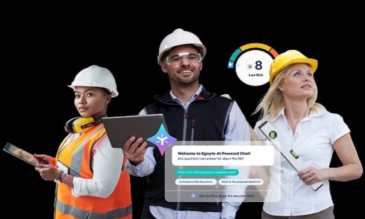 Document Management Systems