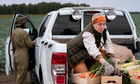 vehicle connectivity systems