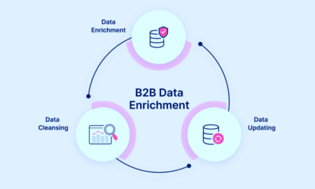 B2B Data Enrichment Provider
