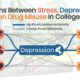 The Link Between Stress, Depression and Drug Addiction