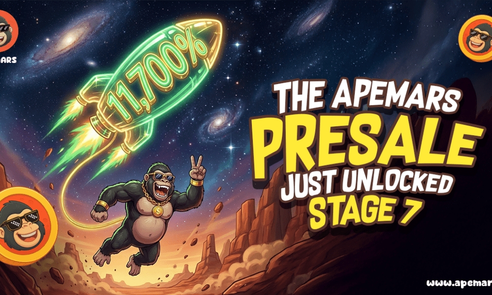 Next crypto bull run