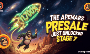 Next crypto bull run