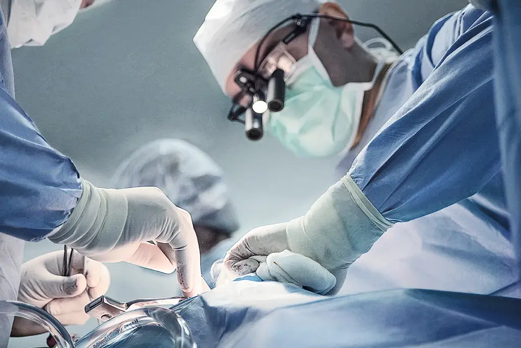 Stem Cell Lymphoma Conditions and Indications: What You Need to Know