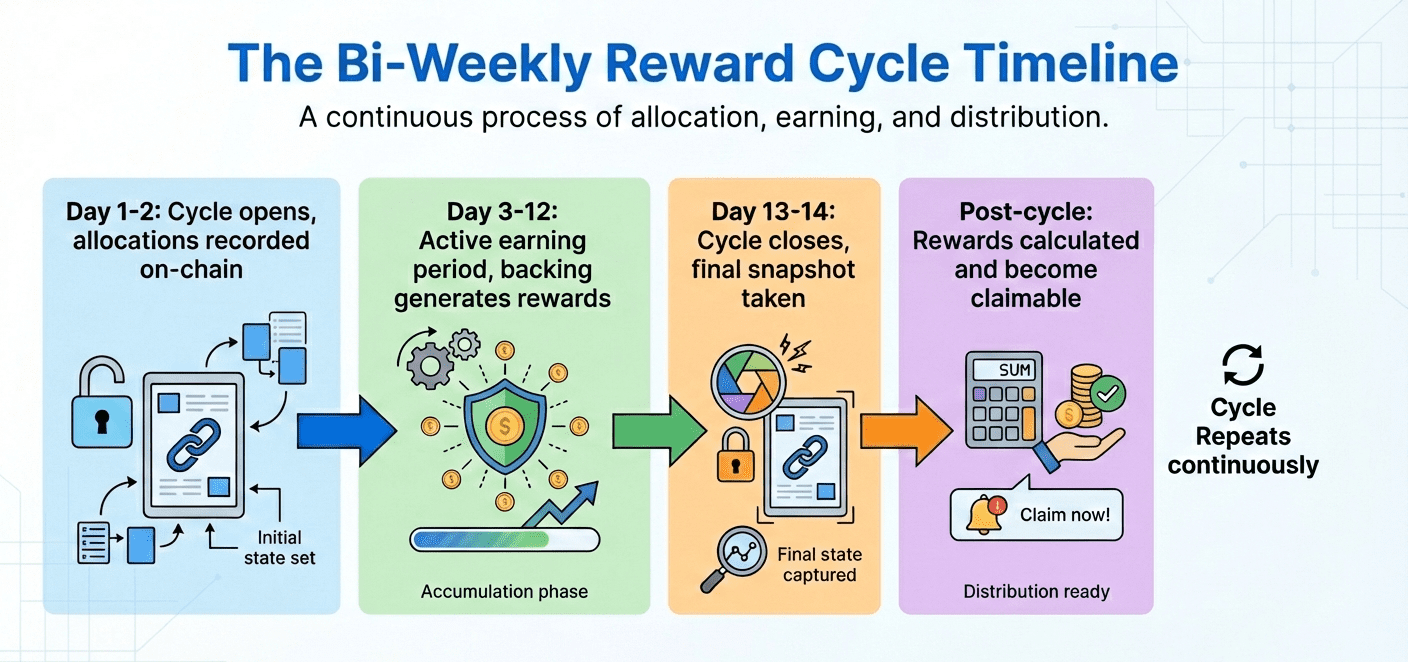 Timeline infographic showing the bi-weekly bitcoin staking rewards cycle: Days 1-2 cycle opens, Days 3-12 active earning period, Days 13-14 cycle closes with snapshot, then rewards become claimable