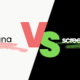 Screendragon vs Asana