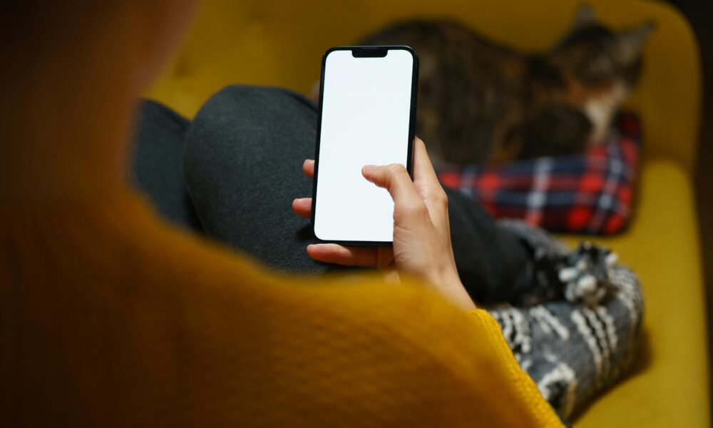 Turning “Bad Debt” into a Goldmine for Fintech