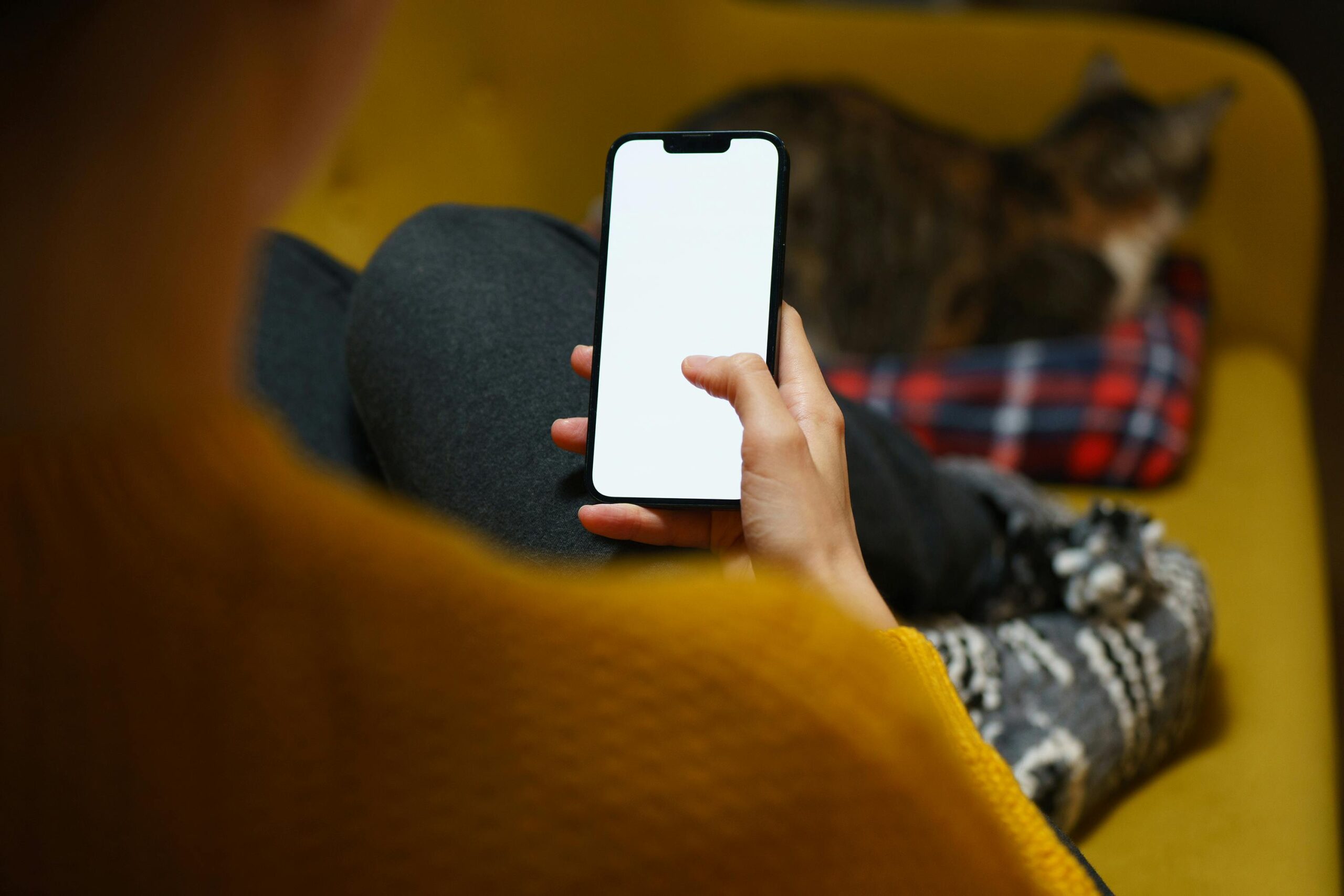 The Big Data Arbitrage: Turning “Bad Debt” into a Goldmine for Fintech